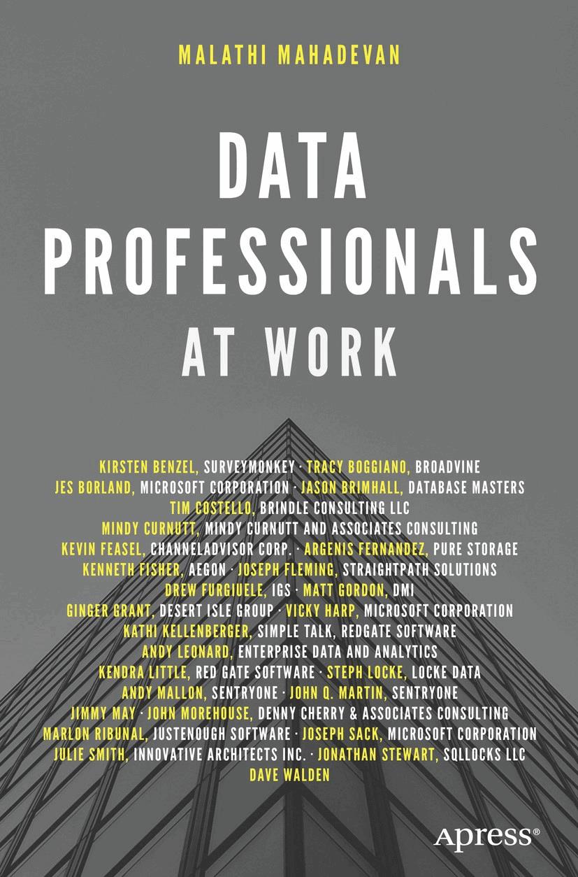 Data Professionals at Work