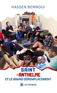 Saint-Anthelme et le Grand Déremplacement - Hassen Bennoui - ebook
