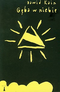 Gęba w niebie - Dawid Kain - książka