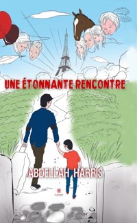 Une étonnante rencontre - Abdellah Harris - ebook