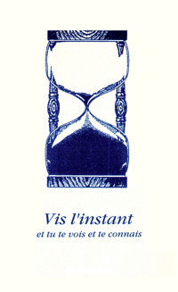 Vis l’instant - Gabriele, Dipl. Ing. Höller - ebook