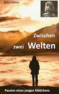 Zwischen zwei Welten - Klaus Dietze - ebook