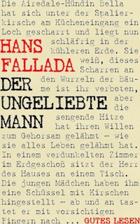 Der ungeliebte Mann - Hans Fallada - ebook