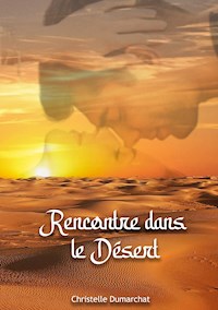 Rencontre dans le désert - Christelle Dumarchat - ebook