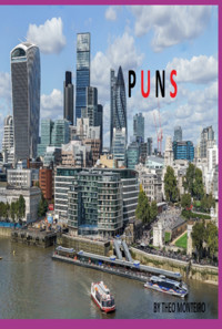 Puns - Theobaldo Vieira Monteiro - ebook