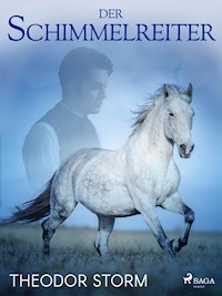 Der Schimmelreiter - Theodor  Storm - ebook
