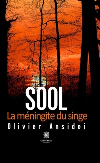 Sool - Olivier Ansidei - ebook