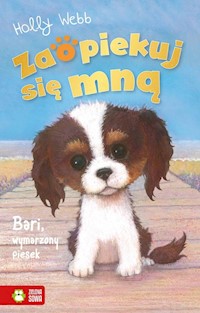 Zaopiekuj się mną Bari, wymarzony piesek - Holly Webb - książka