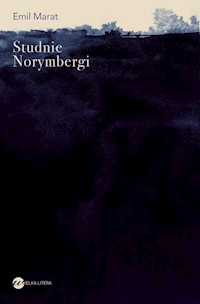 Studnie Norymbergi - Emil Marat - ebook + audiobook + książka
