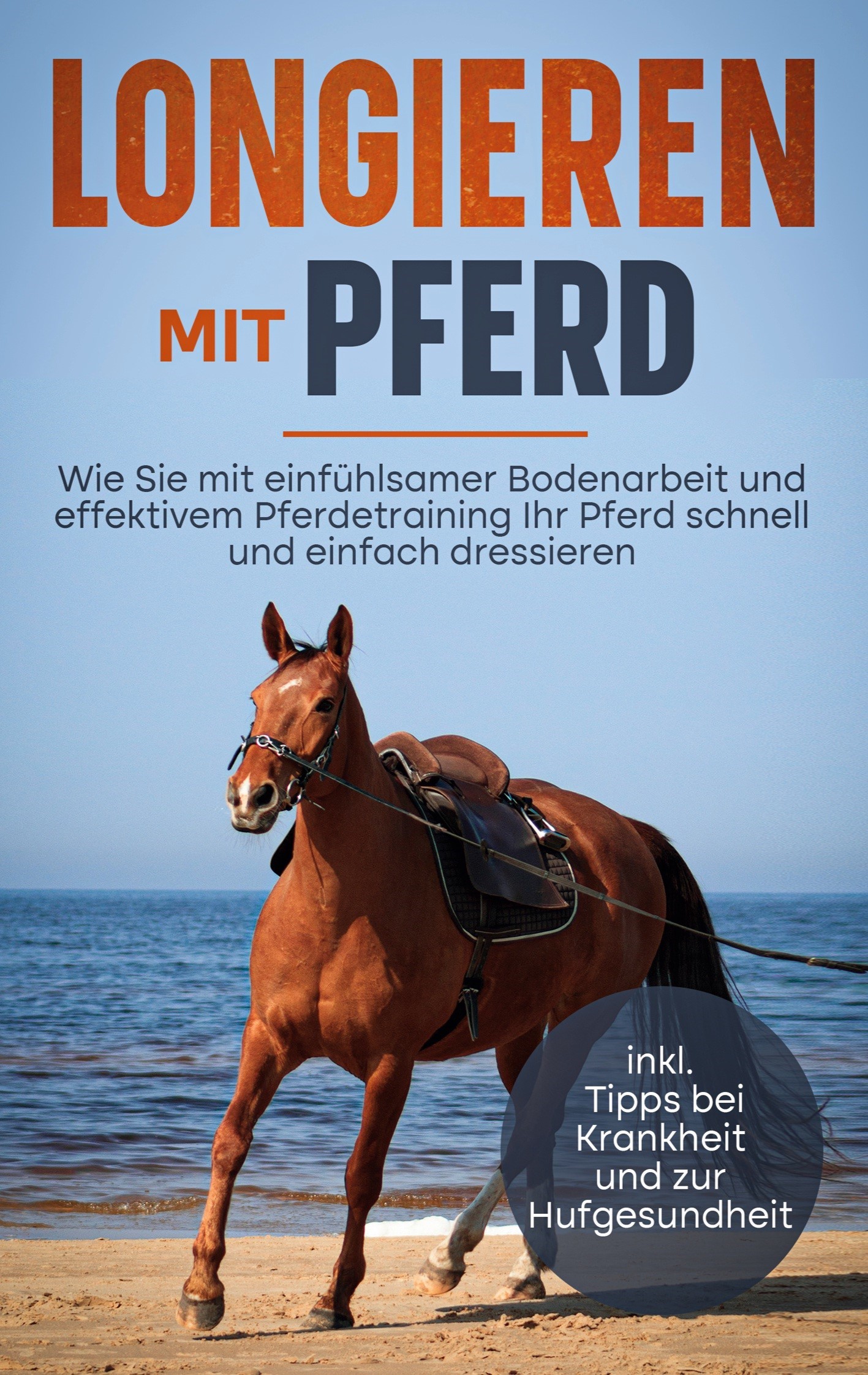Longieren mit Pferd