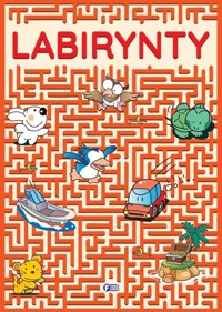 Labirynty - zbiorowa praca - książka