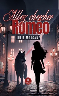 Allez chercher Roméo - Julie Morgane - ebook