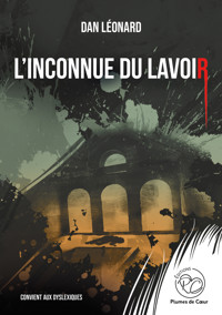 l'inconnue du lavoir - Dan Léonard - ebook