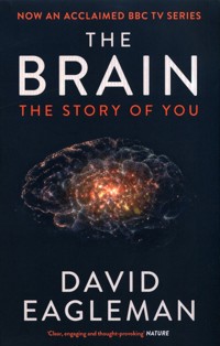 The Brain The Story of You - David Eagleman - książka