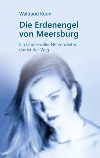 Die Erdenengel von Meersburg - Waltraud Kuon - ebook