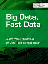 Big Data, Fast Data - Jochen Mader - ebook