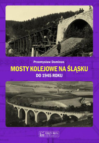Mosty kolejowe na Śląsku do 1945 roku - Przemysław Dominas - książka