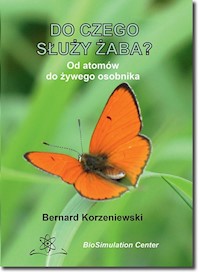 Do czego służy żaba? - Korzeniewski Bernard - książka