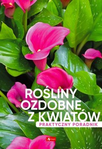 Rośliny ozdobne z kwiatów. Poradnik praktyczny - Mazik Michał - książka