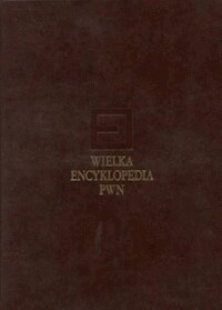 Wielka encyklopedia PWN Tom 4 -  - książka