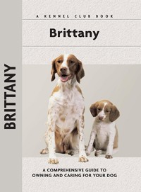 Brittany - Richard G. Beauchamp - ebook