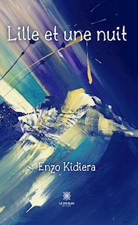 Lille et une nuit - Enzo Kidiera - ebook