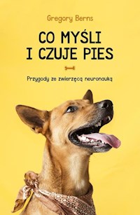 Co myśli i czuje pies - Berns Gregory - książka