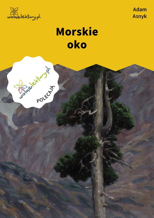 Okładka książki Morskie oko