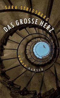 Das große Herz - Stridsberg Sara - ebook