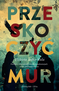 Przeskoczyć mur - Elżbieta Jodko-Kula - książka