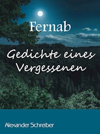 Fernab - Alexander Schreiber - ebook