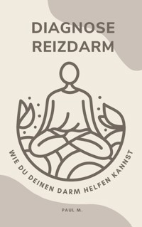 Diagnose Reizdarm - Paul M. - ebook