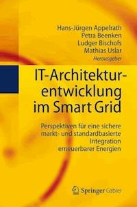 IT-Architekturentwicklung im Smart Grid - - ebook