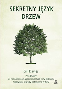 Sekretny język drzew - Gill Davies - książka