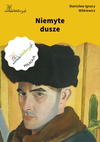 Niemyte dusze - Stanisław Ignacy Witkiewicz - ebook + audiobook