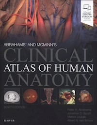 McMinn and Abrahams' Clinical Atlas of Human Anatomy 8th Edition - Abrahams Peter H., Spratt Jonathan D., Loukas Marios, VanSchoor Albert - książka