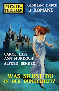 Was siehst du in der Dunkelheit? Mystic Thriller Großband 3 Romane 11/2021 - Alfred Bekker - ebook