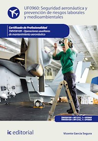Seguridad aeronáutica y prevención de riesgos laborales y medioambientales. TMVO0109 - Vicente García Segura - ebook