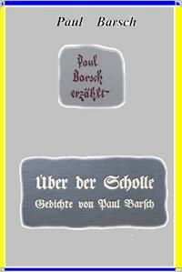 Paul Barsch erzählt - Paul Barsch - ebook