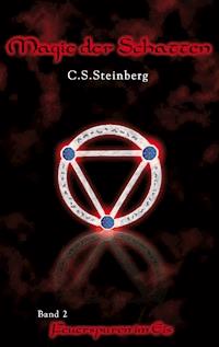 Magie der Schatten 2: Feuerspuren im Eis - C.S. Steinberg - ebook