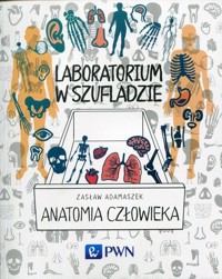 Laboratorium w szufladzie Anatomia człowieka - Zasław Adamaszek - książka