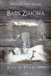 Baśń zimowa - Przybylski Ryszard - książka