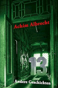 13 Andere Geschichten - Achim Albrecht - ebook