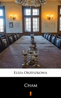 Cham - Eliza Orzeszkowa - ebook + audiobook