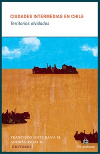 Ciudades intermedias en Chile: territorios olvidados - Francisco Maturana M. - ebook