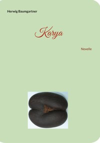 Karya - Herwig Baumgartner - ebook