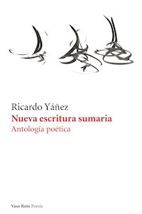 Nueva escritura sumaria - Ricardo Yáñez - ebook