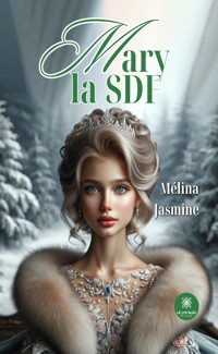 Mary la SDF - Mélina Jasmine - ebook