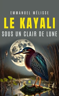 Le kayali sous un clair de lune - Emmanuel Mélisse - ebook