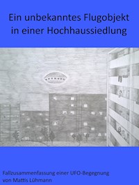 Ein unbekanntes Flugobjekt in einer Hochhaussiedlung - Mattis Lühmann - ebook